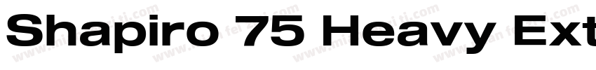 Shapiro 75 Heavy Extd字体转换